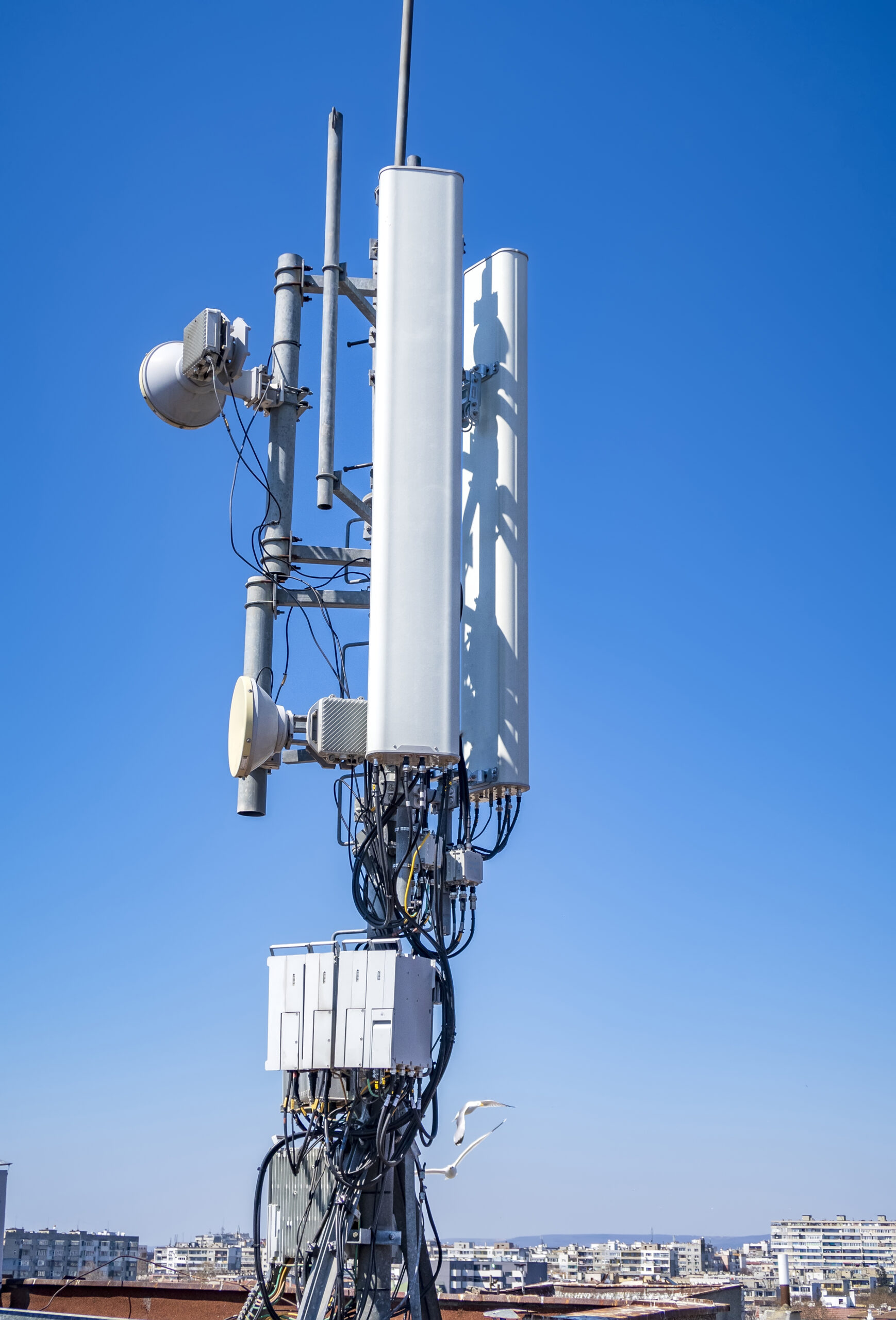 WiFi Internet Vs Cellular Internet